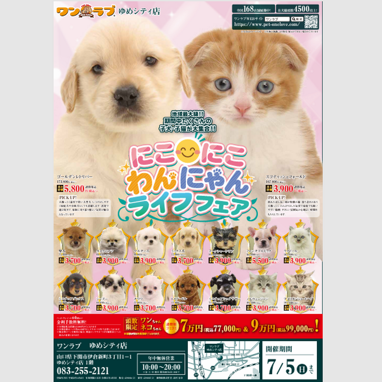 Worldbox 1/6 ダウンタウン DX.Ver 犬付き AT036 地域最大級フェア開催します！｜ペットショップ ワンラブ｜ショップ